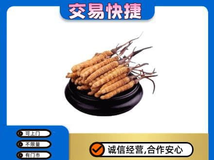 西双版纳州景洪礼品回收散虫草.jpg